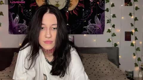 Snapshot of ms_ditaa chatting on February 2026 04:13:02 AM Dita online show from February 2026 04:13:02 AM