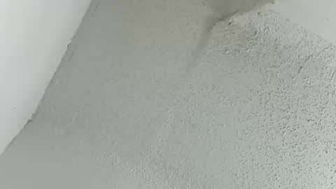 melissa online show from March 2026 12:16:01 AM