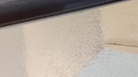 melissa online show from March 2026 08:58:01 PM