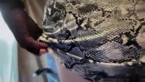 Snapshot of mskarentoy chatting on October 2025 07:55:01 PM mskarentoy online show from October 2025 07:55:01 PM