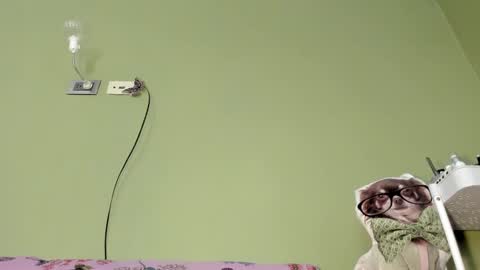 Snapshot of mspurrfectlove chatting on February 2025 06:31:02 PM MsPurrfectLove online show from February 2025 06:31:02 PM