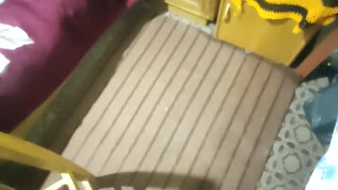 Snapshot of muchachosam chatting on October 2025 02:50:02 AM zenon online show from October 2025 02:50:02 AM