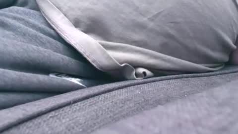 Snapshot of mucker13 chatting on November 2025 01:21:02 PM mucker13 online show from November 2025 01:21:02 PM