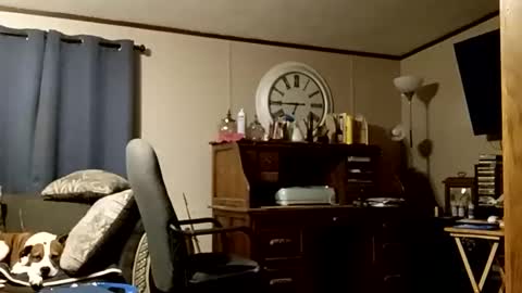 muddflapz online show from November 2025 06:12:02 AM