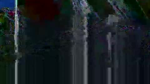 mudjimba online show from December 2025 04:44:01 PM