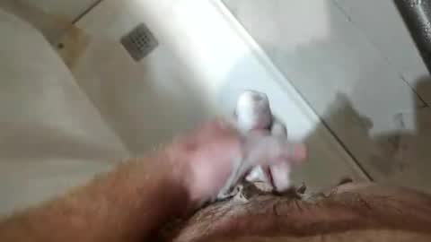 mugglesmuggler online show from March 2026 10:42:02 AM