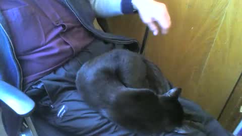 muller520 online show from March 2026 02:33:01 PM