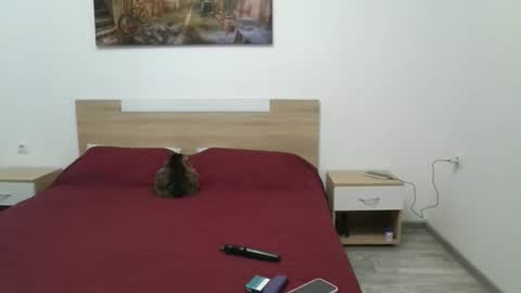 Snapshot of multiply_orgazm chatting on September 2025 06:52:02 AM Multiply orgazm online show from September 2025 06:52:02 AM