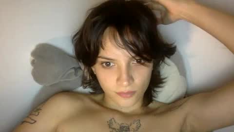   online show from December 2024 10:18:02 PM