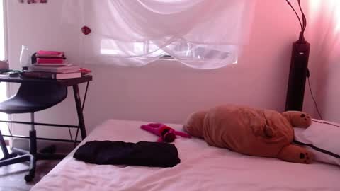   online show from May 2026 08:36:02 PM