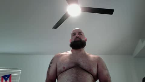 Bearded online show from May 2026 04:04:02 PM