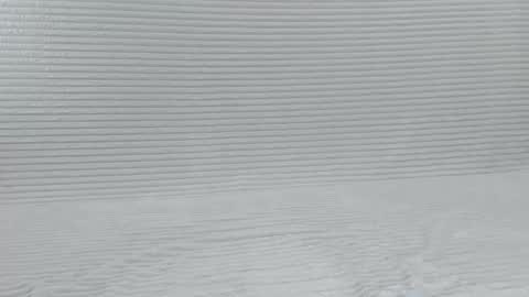 Snapshot of murrrmuah chatting on October 2025 07:55:02 PM murrrmuah online show from October 2025 07:55:02 PM