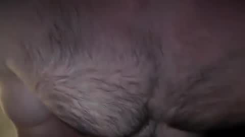 Snapshot of musclehair3 chatting on December 2024 07:21:02 PM musclehair3 online show from December 2024 07:21:02 PM