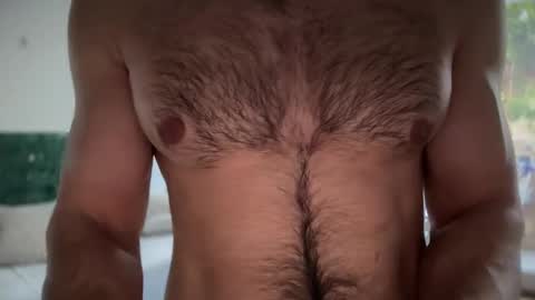 Snapshot of musclehair3 chatting on February 2025 12:24:02 PM musclehair3 online show from February 2025 12:24:02 PM