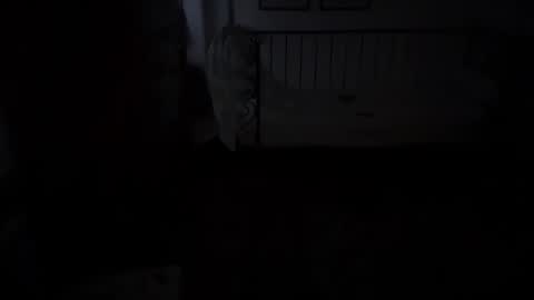 musclehair3 online show from November 2025 09:30:02 PM