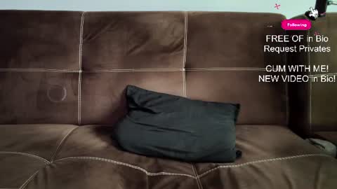mushroomcouch online show from June 2026 07:46:01 AM