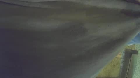 musicman2021 online show from October 2025 06:39:01 PM