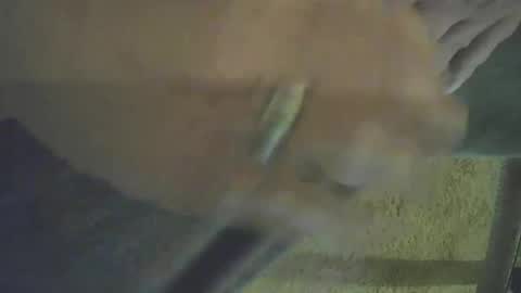 musicman2021 online show from October 2025 03:40:02 PM