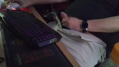 Muso online show from November 2025 04:44:01 AM