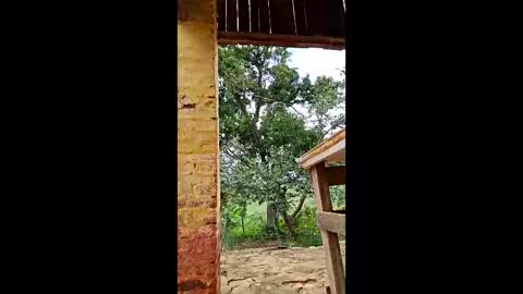 mwmgaara online show from March 2026 02:56:02 PM