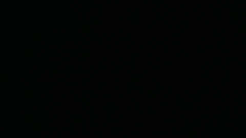 Snapshot of mybox3190 chatting on February 2025 03:08:02 PM Sam online show from February 2025 03:08:02 PM