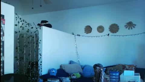 LA MARIPOSA DE MARICOPA online show from March 2025 09:43:02 PM