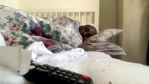 mycockissohard2021 online show from February 2025 02:54:02 PM