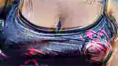 Snapshot of myhoney_hot chatting on February 2026 12:28:01 PM myhoney_hot online show from February 2026 12:28:01 PM