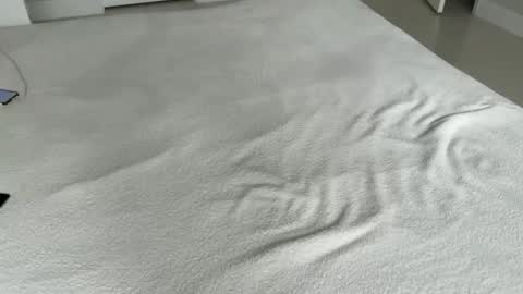 Myles Spears online show from November 2025 06:33:02 PM