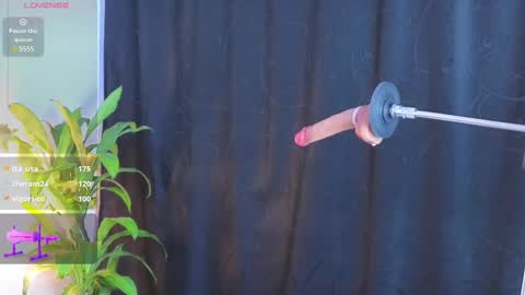 Snapshot of mylittle_princess chatting on February 2025 02:53:01 PM Kathe online show from February 2025 02:53:01 PM