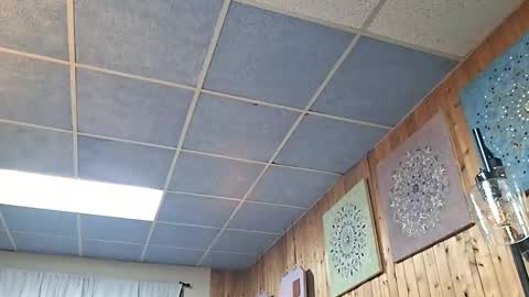 mymyselfandme online show from November 2025 07:07:01 AM