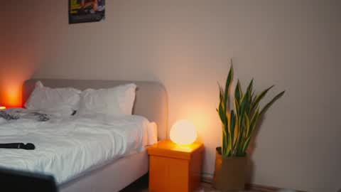 Sima online show from December 2024 12:34:01 PM