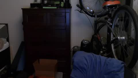 Snapshot of mysecretaccount0311 chatting on December 2024 06:56:01 AM Tony online show from December 2024 06:56:01 AM