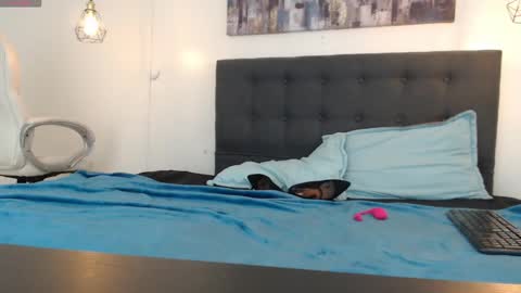 No Name online show from January 2025 01:26:01 PM