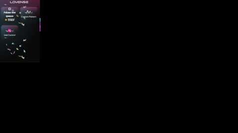   SHELBY   online show from December 2025 12:10:01 PM