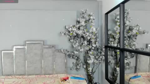 nahomycarterr online show from June 2026 11:35:02 AM