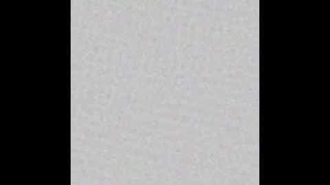 Naia online show from November 2025 06:32:01 PM