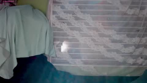 NAJI  online show from January 2026 12:48:01 AM