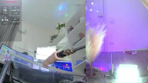 INSTAGRAM     bekkercat  online show from November 2025 11:38:02 AM