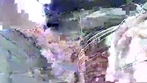 Nane online show from November 2025 12:16:01 PM