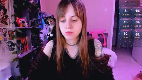 Snapshot of nanitamoore chatting on February 2025 11:52:01 PM Monday-Friday 12-4 AM and 6-9 AM New York time online show from February 2025 11:52:01 PM
