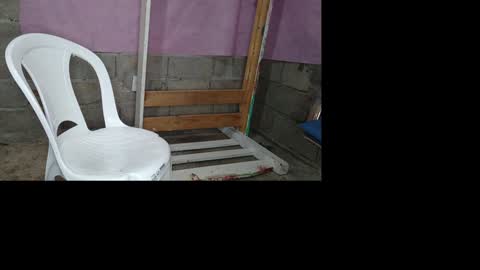 bellas2012 online show from January 2025 05:39:01 PM