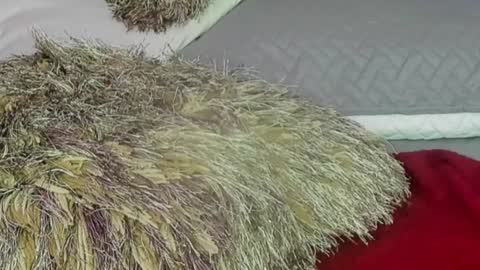 Naomy Smith online show from December 2024 11:06:02 PM