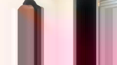 nara_brasileirinha online show from February 2025 02:28:01 AM