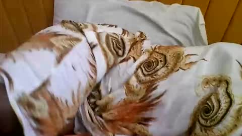 Snapshot of nastiestmomplay chatting on October 2025 07:17:02 AM Sweet Ella online show from October 2025 07:17:02 AM