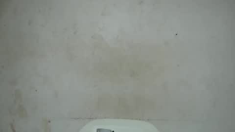 nastyhairy7 online show from October 2025 04:15:02 AM