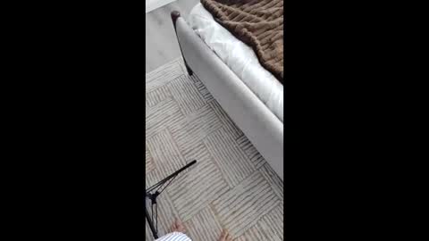 Asian Milf Show online show from November 2025 05:41:01 PM