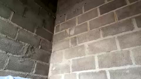 natasha__magics online show from February 2026 05:11:02 PM