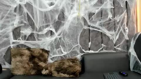 Snapshot of nathan_shimmer chatting on October 2025 10:52:02 PM nathan_shimmer online show from October 2025 10:52:02 PM