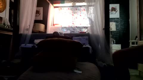 Haven online show from January 2025 02:32:01 PM